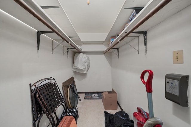 walk in closet with carpet floors