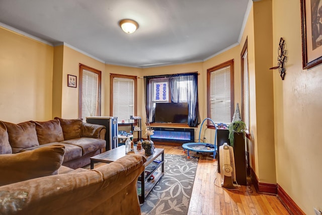 living area featuring hardwood / wood-style floors, baseboards, and crown molding
