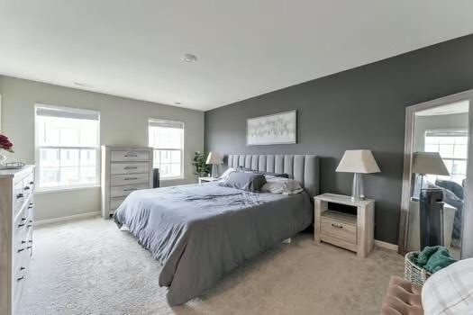 1672 Bentz Way, Batavia, IL 60510 - bedroom featuring light carpet, multiple windows, and baseboards