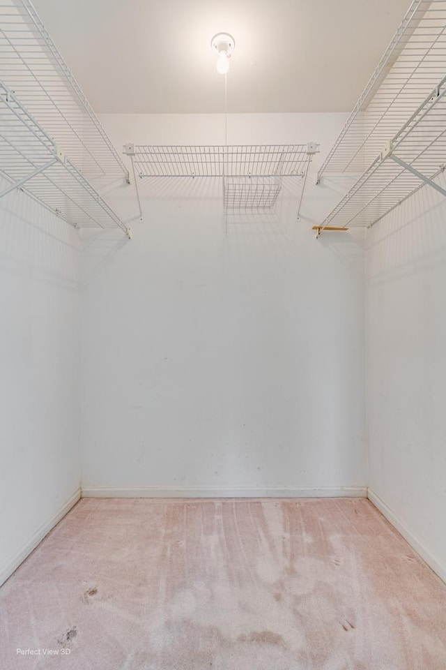 walk in closet featuring carpet floors