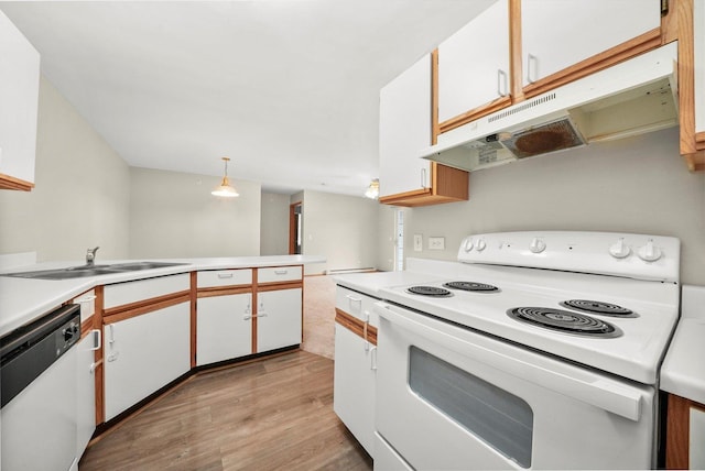 1545 W Crystal Rock Ct Unit 1B, Round Lake Beach, IL 60073 - kitchen with under cabinet range hood, white appliances, a sink, light countertops, and light wood-type flooring