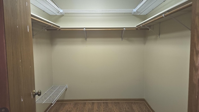 walk in closet featuring wood finished floors