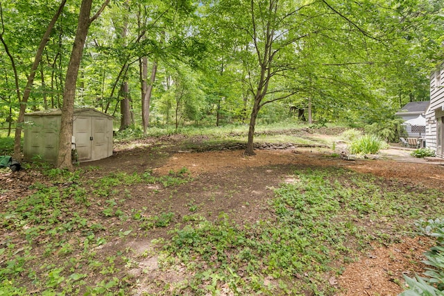 36W525 Wild Rose Rd, Saint Charles, IL 60174 - view of yard