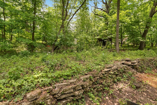 36W525 Wild Rose Rd, Saint Charles, IL 60174 - view of wooded area
