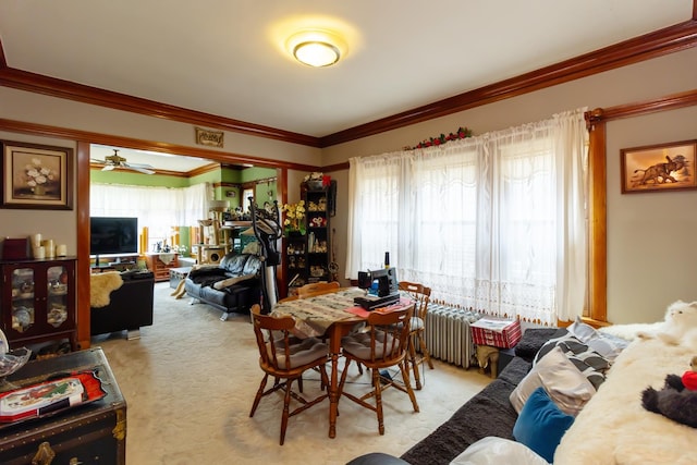 carpeted dining area featuring ornamental molding, a ceiling fan, radiator, and a healthy amount of sunlight