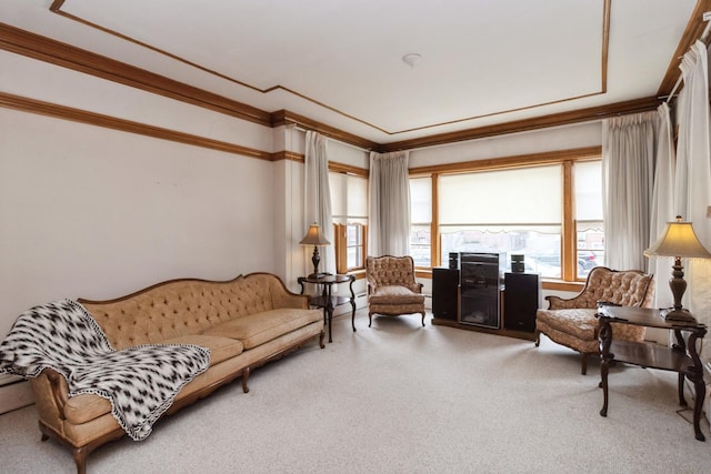 carpeted living area featuring ornamental molding