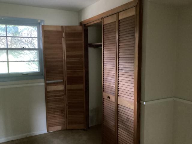 view of closet