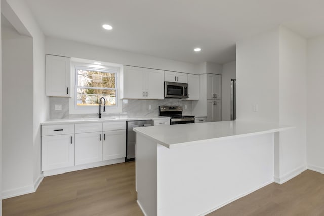 kitchen featuring backsplash, light wood-style flooring, a sink, and stainless steel appliances