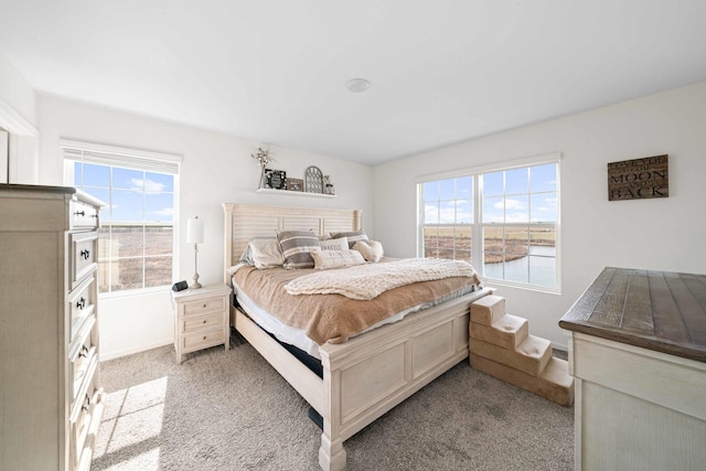 bedroom featuring baseboards, light carpet, and multiple windows