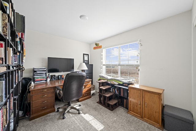 office area with light colored carpet