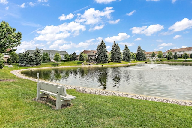 5 Saint Moritz Dr Unit 101, Palos Park, IL 60464 - water view
