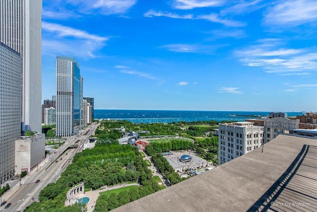 130 N Garland Ct Unit 3401, Chicago, IL 60602 - photo 32