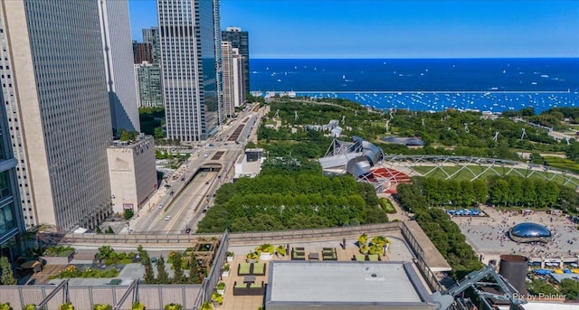 130 N Garland Ct Unit 3401, Chicago, IL 60602 - photo 41