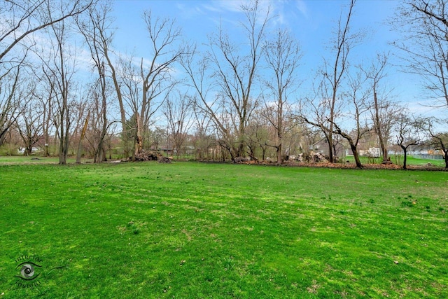 274 N School St, Braidwood, IL 60408 - view of yard