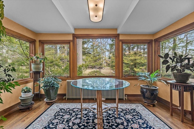 215 Prospect Ave, Highland Park, IL 60035 - sunroom / solarium featuring baseboards, wood finished floors, and a healthy amount of sunlight