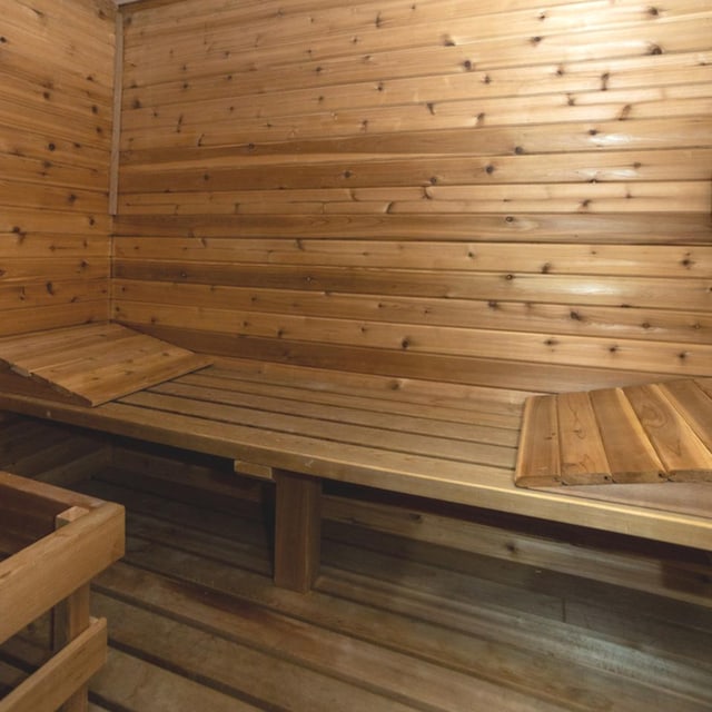 1745 W Cornelia Ave, Chicago, IL 60657 - view of sauna