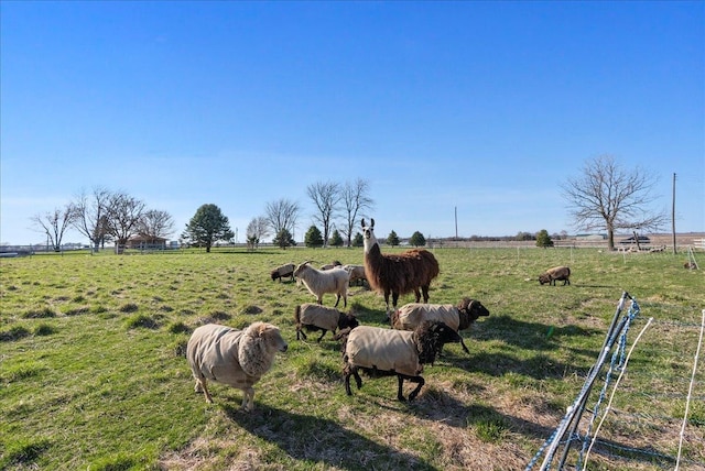 103 E 1400 N Rd, Danvers, IL 61732 - view of yard with a view of countryside