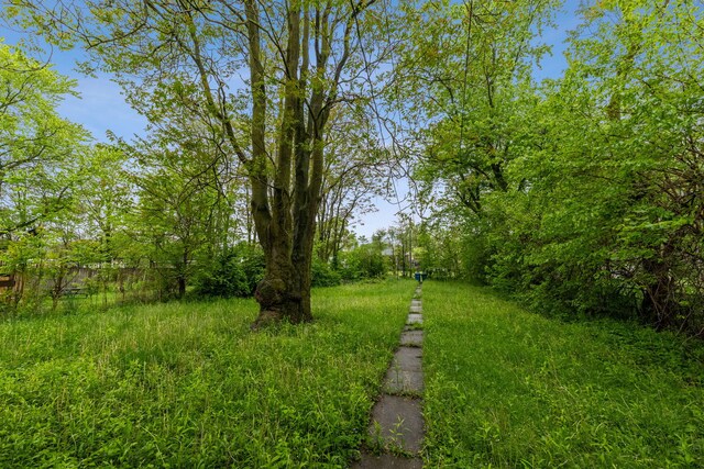 15616 Lexington Ave, Harvey, IL 60426 - photo 19