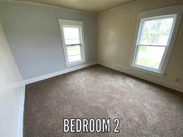 716 Robinson St, Danville, IL 61832 - carpeted empty room featuring baseboards, crown molding, and plenty of natural light