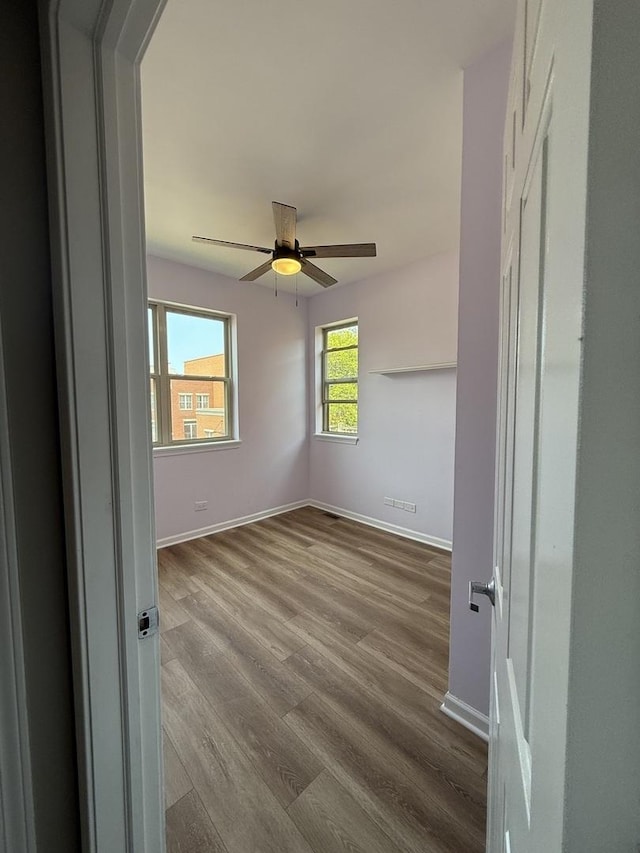 1333 N Burling St Unit B, Chicago, IL 60610 - unfurnished room with wood finished floors and ceiling fan
