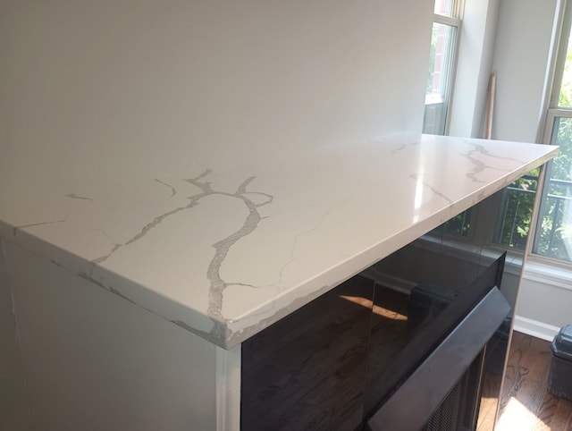 1333 N Burling St Unit B, Chicago, IL 60610 - detailed view of wood finished floors and baseboards
