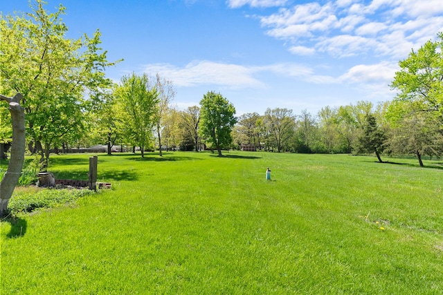 3315 E Bemes Rd, Crete, IL 60417 - view of home's community featuring a lawn