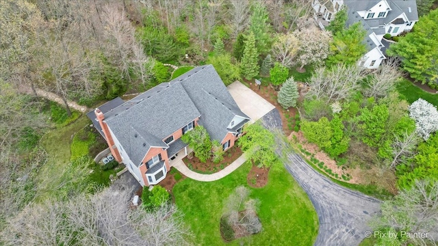 bird's eye view