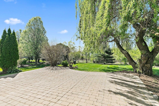 591 Waterford Rd, Elgin, IL 60124 - view of property's community featuring a yard and a patio area