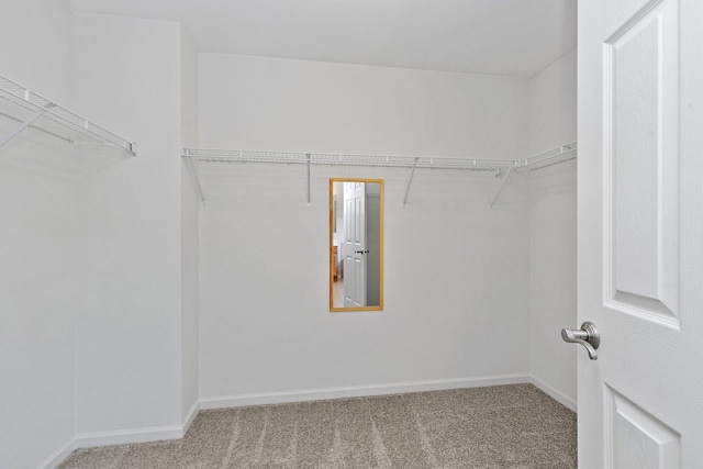 591 Waterford Rd, Elgin, IL 60124 - walk in closet featuring carpet flooring