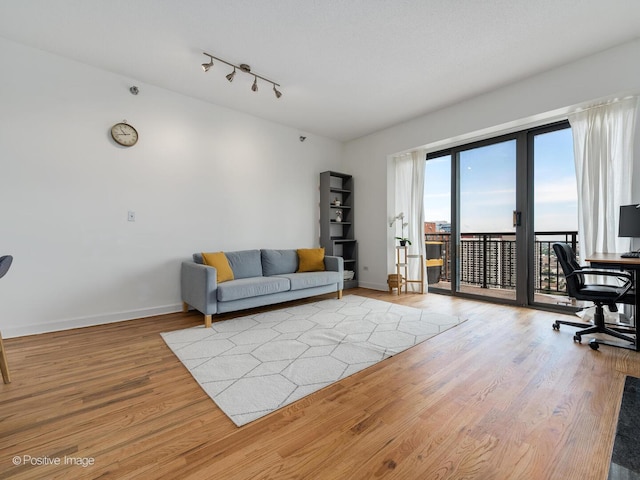 living room with baseboards, rail lighting, and wood finished floors