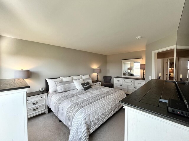102 W Auburndale Ave, Cortland, IL 60112 - bedroom featuring dark colored carpet