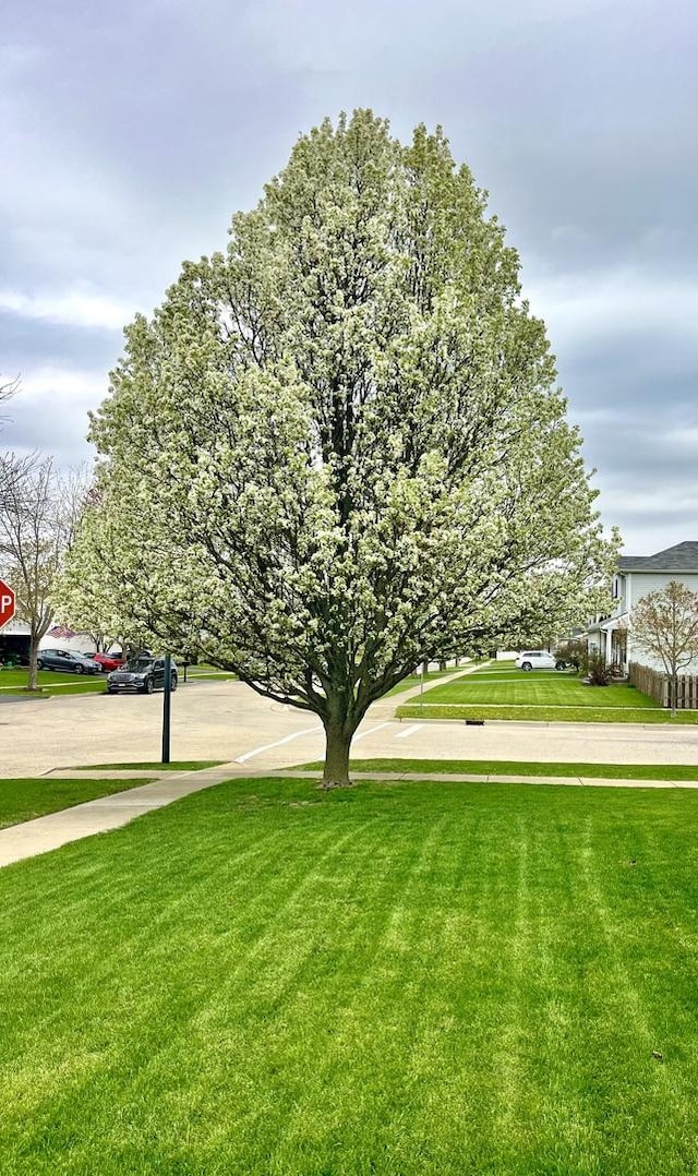 102 W Auburndale Ave, Cortland, IL 60112 - view of community with a yard