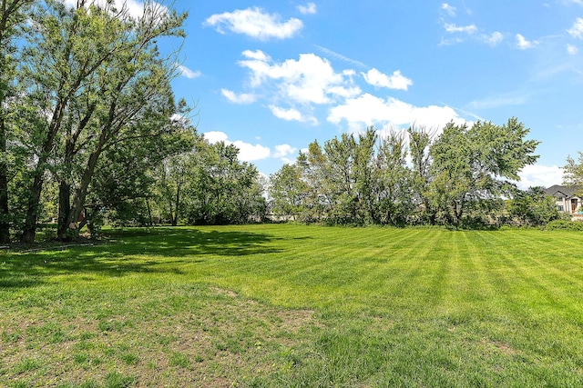 15150 109th Ave, Orland Park, IL 60467 - view of grassy yard