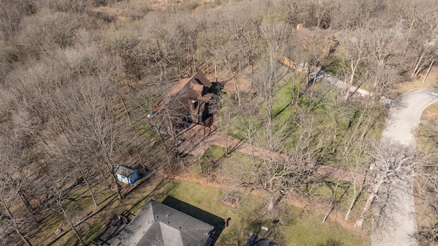 bird's eye view