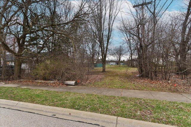 0 Prague Ave, Buffalo Grove, IL 60089 - photo 4