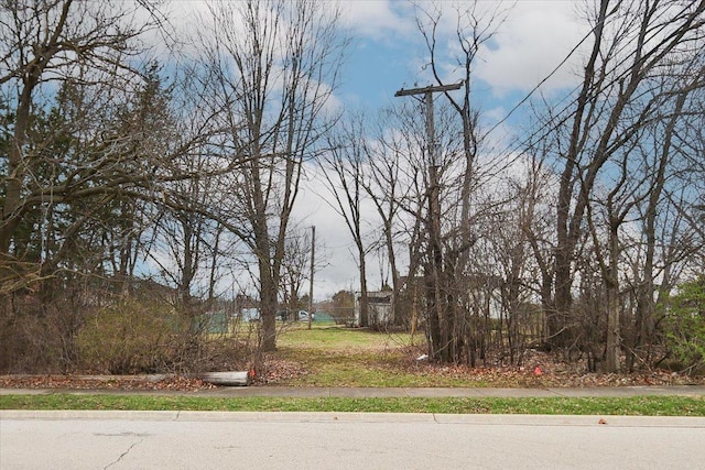 0 Prague Ave, Buffalo Grove, IL 60089 - photo 5