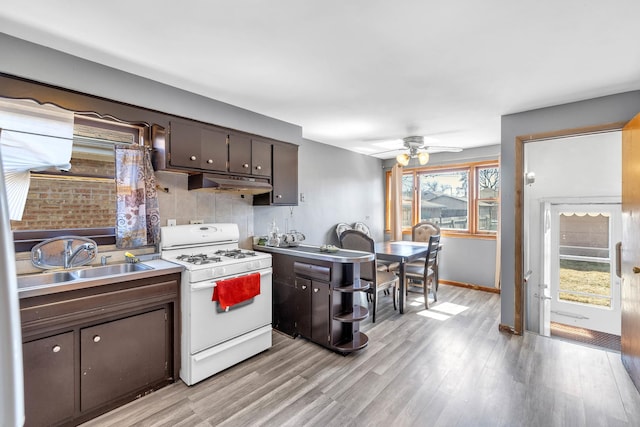 kitchen with light wood-style flooring, under cabinet range hood, a sink, white gas range oven, and a ceiling fan