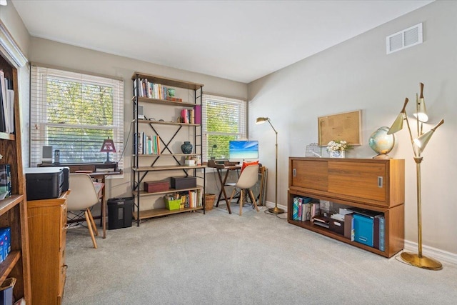 401 Aurora Ct, Vernon Hills, IL 60061 - interior space with visible vents, baseboards, and carpet floors