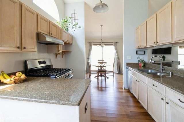 204 E Heritage Trl E, Hainesville, IL 60030 - kitchen with a sink, stainless steel appliances, under cabinet range hood, dark wood-type flooring, and hanging light fixtures