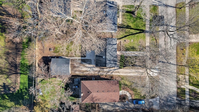 bird's eye view