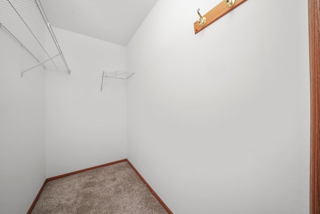 1580 W Sand Bar Ct Unit 1D, Round Lake Beach, IL 60073 - walk in closet featuring carpet