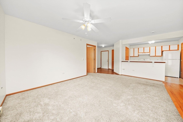 1580 W Sand Bar Ct Unit 1D, Round Lake Beach, IL 60073 - unfurnished living room featuring light carpet, baseboards, and ceiling fan