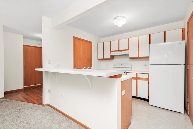 1580 W Sand Bar Ct Unit 1D, Round Lake Beach, IL 60073 - kitchen featuring freestanding refrigerator, under cabinet range hood, electric range, light countertops, and a kitchen breakfast bar