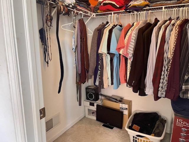 370 W Asbury Dr, Round Lake, IL 60073 - walk in closet featuring carpet flooring