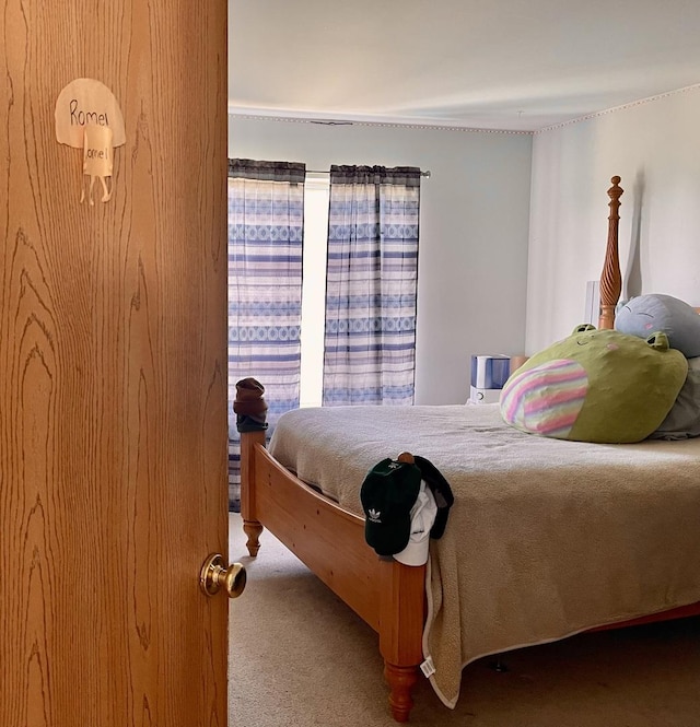 370 W Asbury Dr, Round Lake, IL 60073 - view of carpeted bedroom