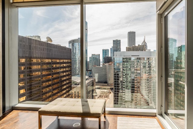 600 N Fairbanks Ct Unit 3610, Chicago, IL 60611 - interior space featuring wood finished floors, a view of city, and expansive windows