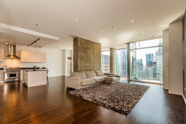 600 N Fairbanks Ct Unit 3610, Chicago, IL 60611 - living area featuring a city view, dark wood-style flooring, floor to ceiling windows, and rail lighting