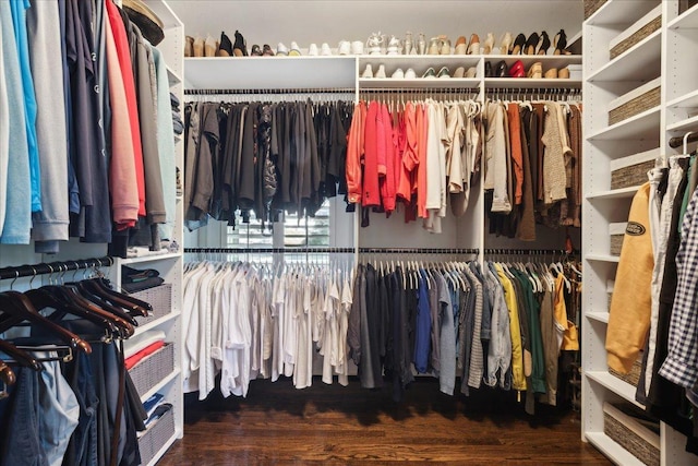 spacious closet featuring wood finished floors