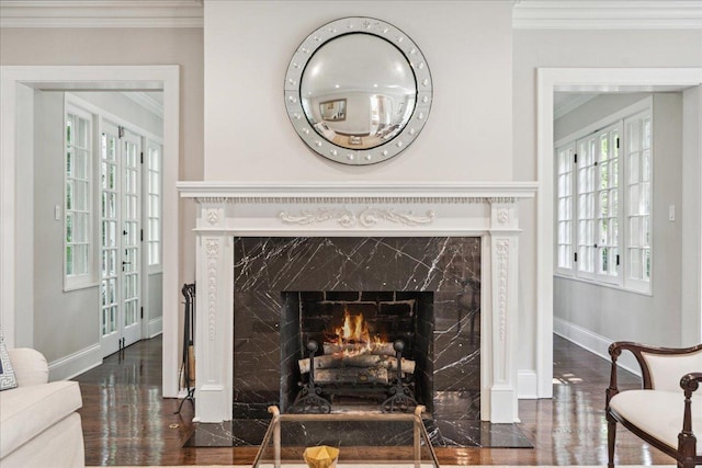room details featuring wood finished floors, baseboards, crown molding, and a premium fireplace