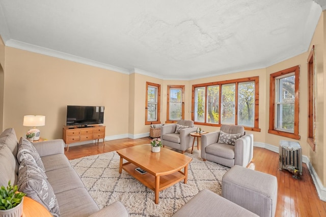 living room featuring ornamental molding, baseboards, light wood-type flooring, and radiator